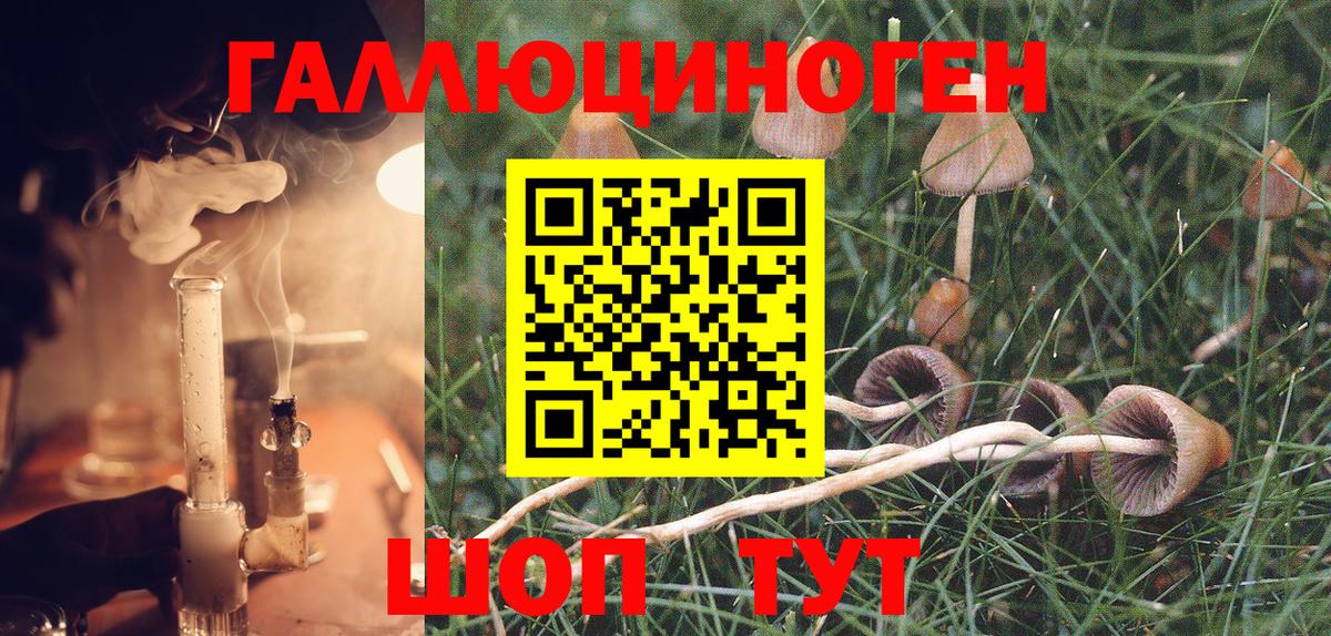 Севастополь  Галлюциногенные грибы GOLDEN TEACHER  Вход с VPN 